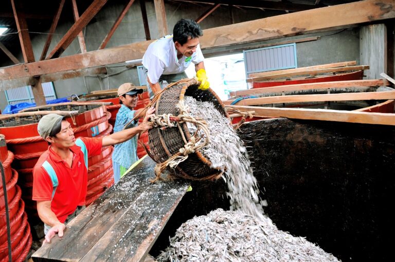 Nước mắm nấu truyền thống vs. nước mắm nấu công nghiệp: Lựa chọn nào đáng tin cậy?