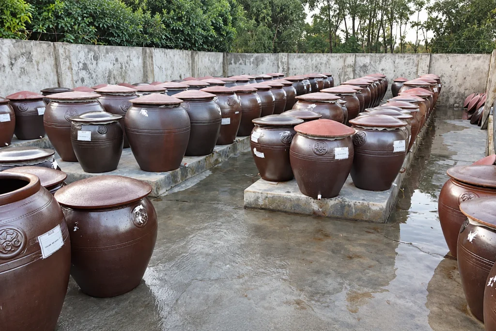 Chum ủ nước mắm Ba Làng truyền thống